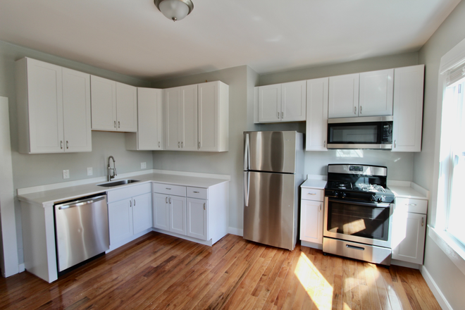 1 - Sept 2026, Spacious 4 bed/2 bath,  Cats Friendly, No Fee Apartments