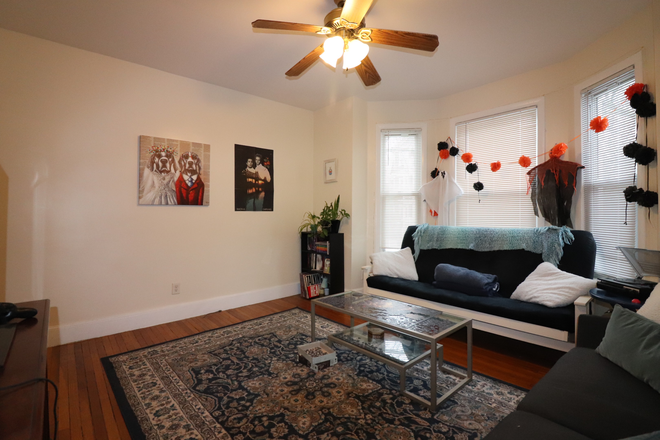 living room - Sunny North Brookline 2 bed for 9/1 - NO FEE Apartments