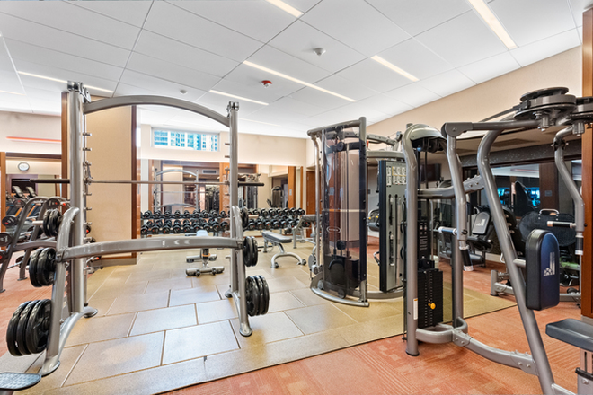 Fitness Room - Apartment in the Heart of Loop