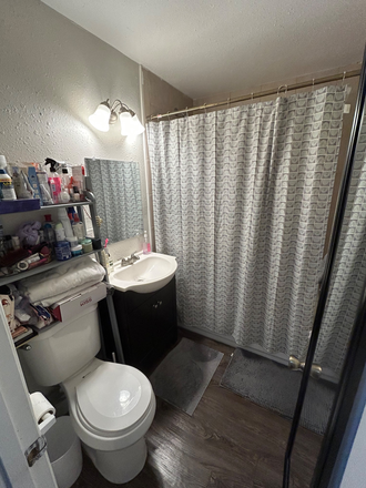 Bathroom - 1Br/1Bath close to UF campus / vet school/ medical school / Shands Townhome