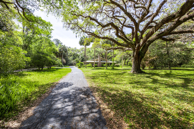 House from Tuscawilla Rd- Tuscawilla Rd is very quiet except during fall festival and the fourth of July - Spacious Single Family Home  on gorgeous 1.5 acre lot in the heart of Historic Micanopy