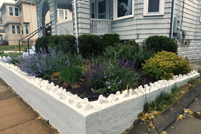 Front garden - 7 Min Walk to Tufts | 6BR for 6 People | $1,300/Person | No Fee | Parking + Laundry Duplex