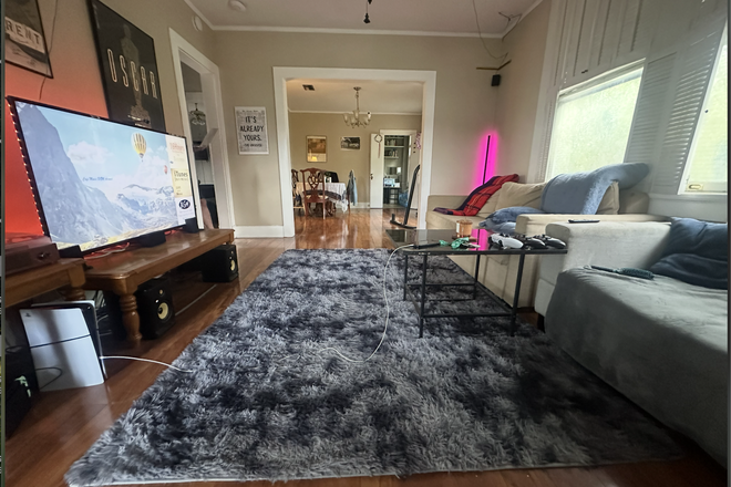 Living Room - "Prime College Housing: Steps Away from Campus,  Beautiful and Safeguarded by TUPD! Apartments