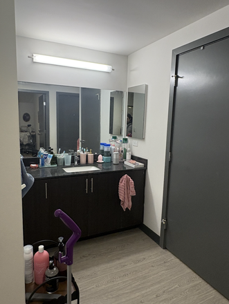 Sink/Mirror area - Lightview Apartments