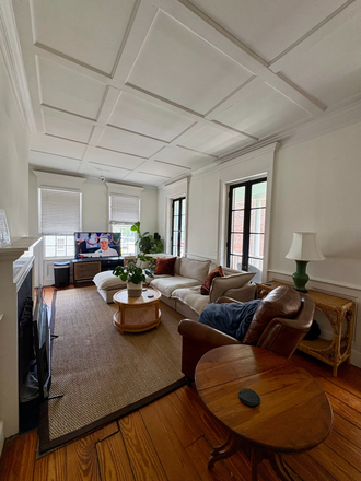 Living Room - Roommate needed for 2b/2ba 2 blocks from MUSC Apartments