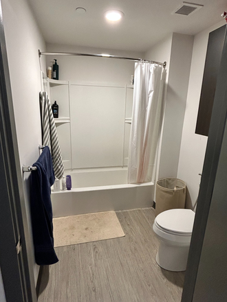 Bathroom - Summer Room + Bathroom (Lightview Apartments)