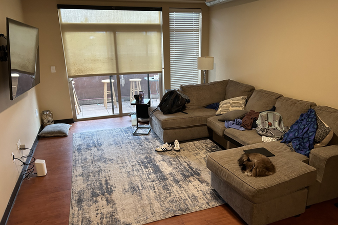 Living Room - Lofts on College