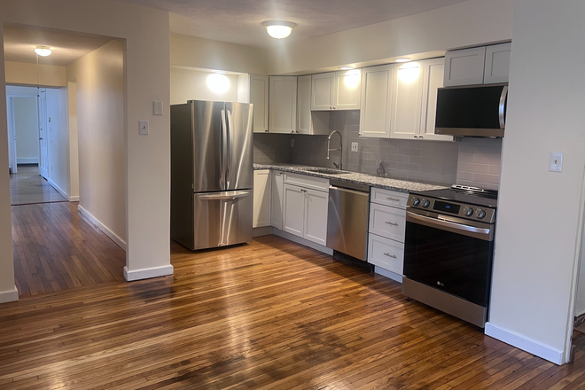 Renovated kitchen - Renovated 2 Bedroom on Bus Lines!  Broadway at Main St Townhome