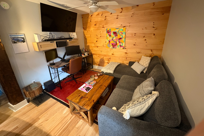 Living room - Fully Furnished Downtown Sublet - Minutes to Lake and Church St. Duplex
