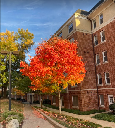 Outside View - South Campus Commons 4 Apartments