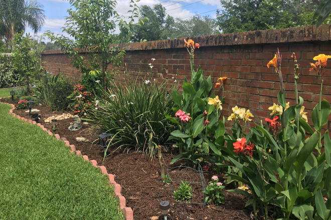 Yard behind pool area - Room for rent in private home/2 miles campus, UCF, Orlando