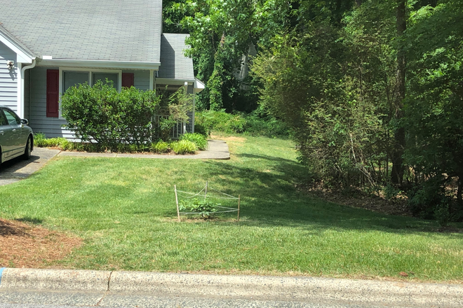 Front yard - Charming Duplex on Chapel Hill/Durham Border