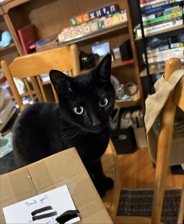 Betty! - 2 Bedroom 1 Bathroom on Bim Street