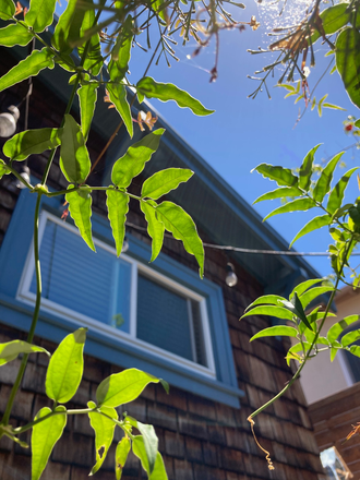 Exterior - Charming two bedroom home with hot tub close to Berkeley Bowl