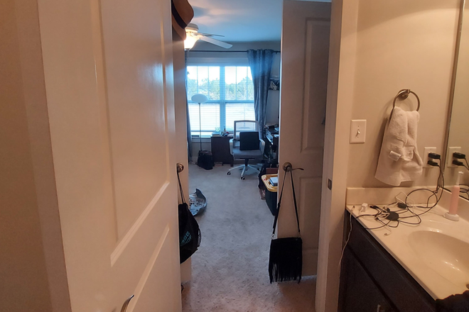 en suite bathroom - Need roommate for 2-bedroom apartment, 15min from main campus