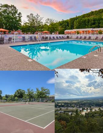 Complex pool, tennis courts, and hike view - Newly Renovated Apartment - 9 Minutes from campus