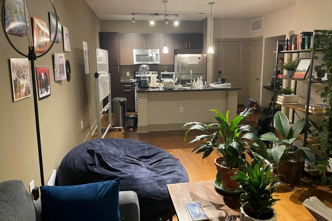 View of the main room, which includes the kitchen and an area I've used as a living room/working space - One-Bedroom Apartment in Domain College Park