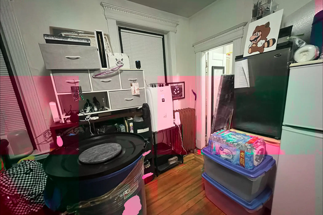 Northeast - Ground Floor Studio 5-min walk to Berklee. FULL Fridge, Real Stove + Oven! June-August Apartments
