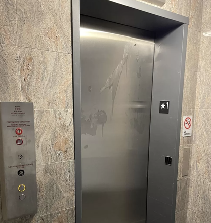 Elevator - GREAT 1 BED/ 1 BATH AVAILABLE 09/01. SUPER CLOSE TO CAMPUS!!! Apartments