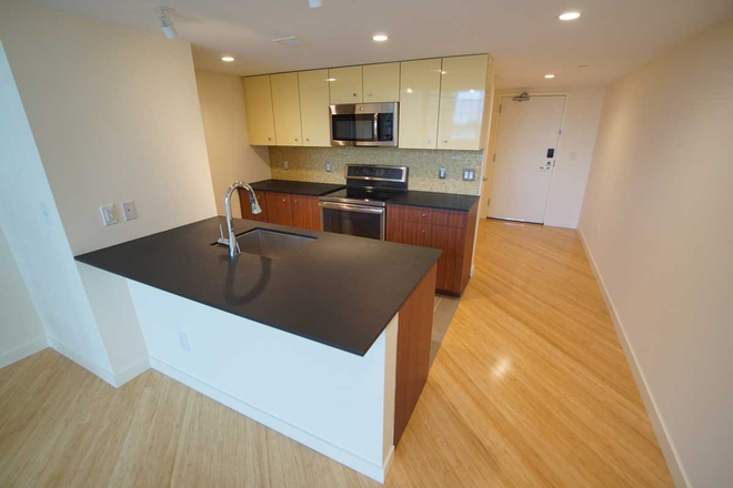 Kitchen, from Breakfast Bar - 1BR apt-Clark St-Trenton