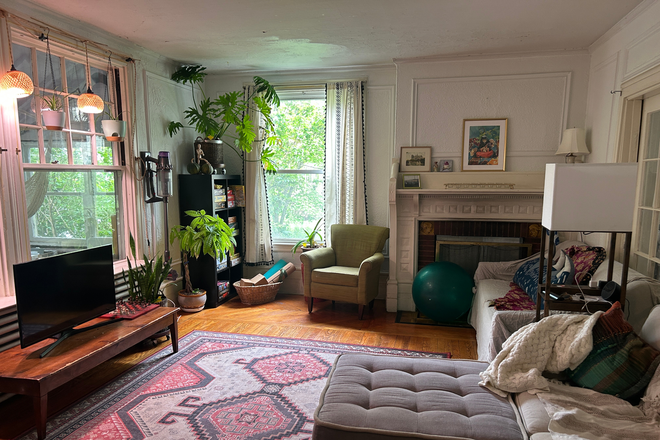 Living/game room - Pet friendly room in JP, available Sept 1, close to Orange Line