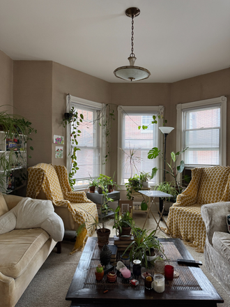 Living Room - Furnished room for female-Charlton St-Princeton