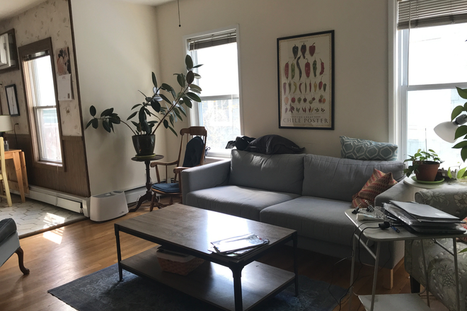3 - Spacious duplex near Design School and Harvard campus Apartments