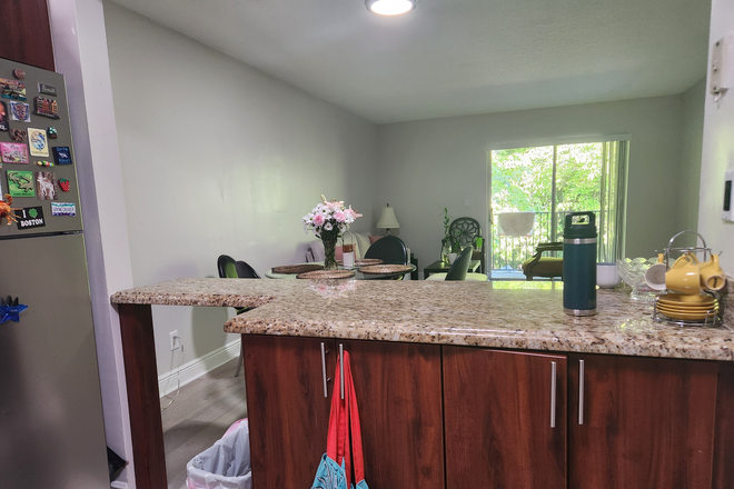 Kitchen - Amazing clean apartment 3 mins from NSU campus