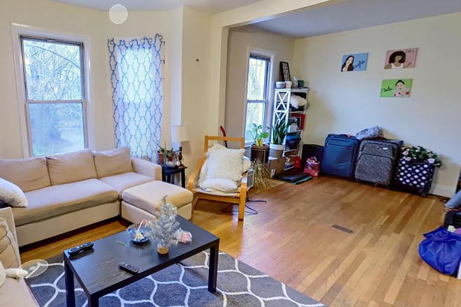 living room - Large North Brookline 4 bed/2 bath with updated kitchen Apartments