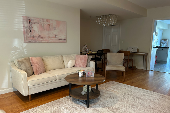 Living room - Apartment