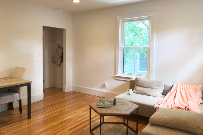 Open Concept Living Room - Downtown U of T, Beautiful New Renos, Incl Utilities, Furnished, Central Air, Laundry, Garden
