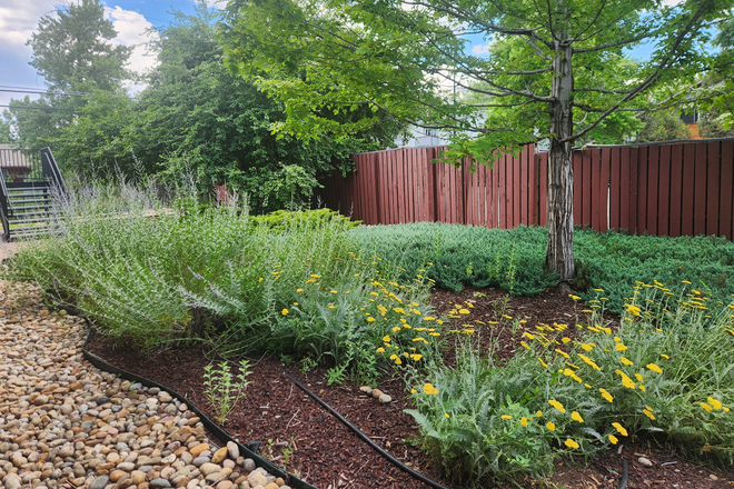 1090 30th Street Boulder - Walk to East and Main C.U. CAMPUSES. Preleasing 1 Bedroom, 1 bath Apartments