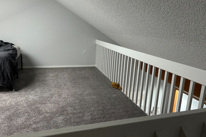 Loft Upstairs - HUGE Apartment right across the street from Campus!