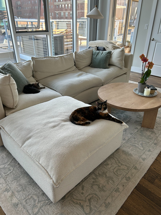 Living room - 2 BD/2 BA South End Penthouse Available Nov. 1