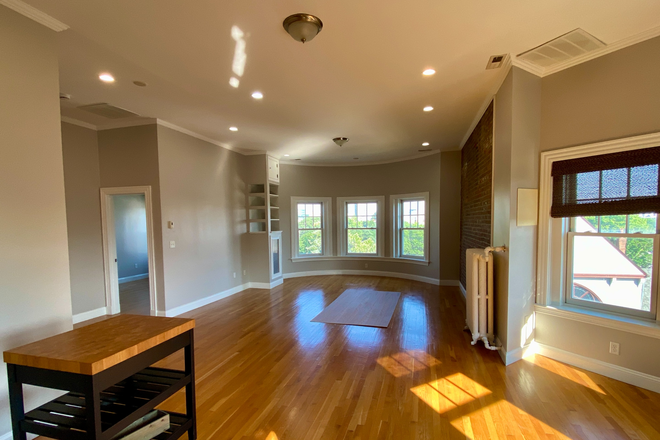 living - 1 bed apartment / Harvard Square/ Available now.
