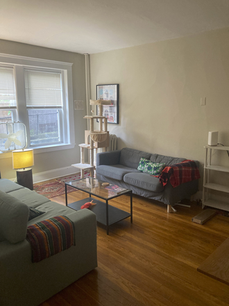 Living room - Room for rent in cozy, spacious Porter Square apartment (2 bed/1 bath)