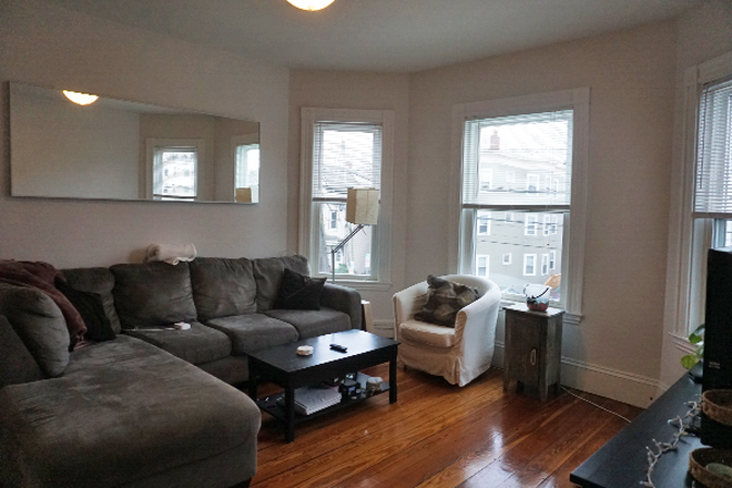 1 - $5200 | Spacious 4 Bed near Tufts | 09/01 | In- Apartments Unit Laundry | Cats OK