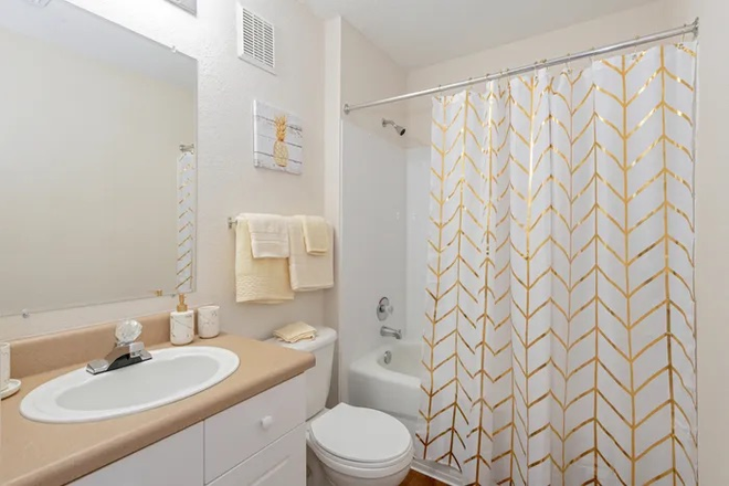 Bathroom - College Station Apartments