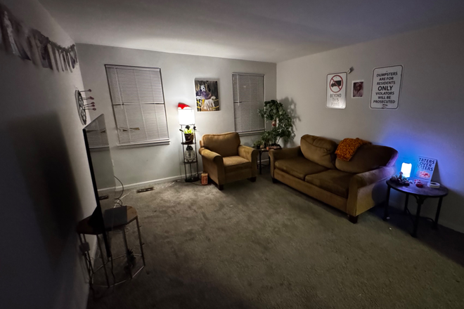 Living room/ without coffee table/tv console - 2 bedroom close to campus Apartments
