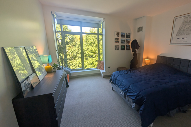 Primary bedroom with a large bay window. - Huge apartment near Harvard Square with great natural light for families or two roommates