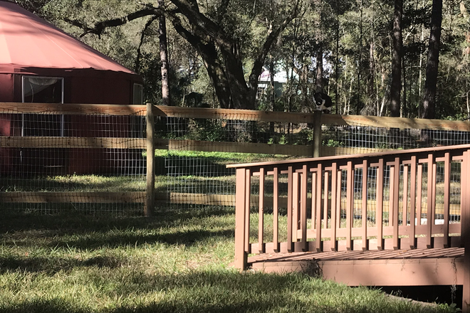 Back yard - Single Family Home in the heart of Historic Micanopy