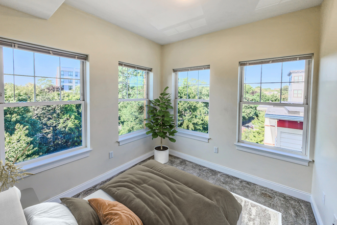 . - great 2 bed 1.5 bath, w/d in unit, central ac, elevator building Apartments