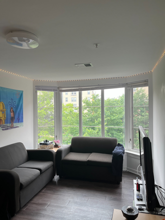 living room - South Campus Commons 6 Apt Lease transfer for June-July