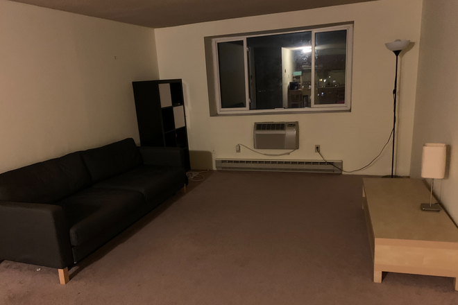 Living room - Modern 2bd, 1bath, parking, walking distance to Harvard Square Condo