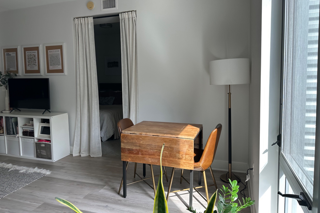 Living Room - Quiet, Corner Apartment in Prime NW DC Tenleytown Location