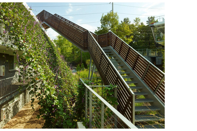 community yard - Eco Modern Flat Apartments