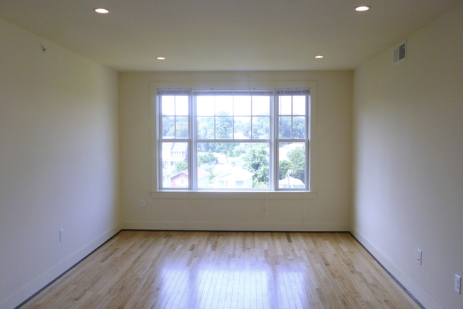 Living area - Wertland Appartment - Cozy Apartment Near UVA Grounds