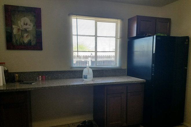 Main Kitchen bar area - Large Home on Lee and Highland, short walk to Campus!