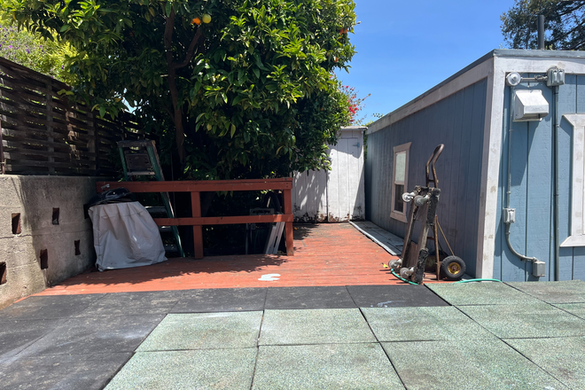 Deck with orange tree - Detached Studio in Albany