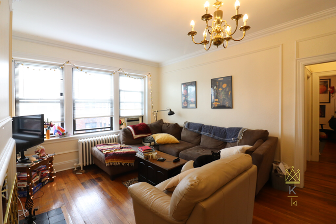 living room - NO FEE Large Coolidge Corner 2 bed available now Apartments